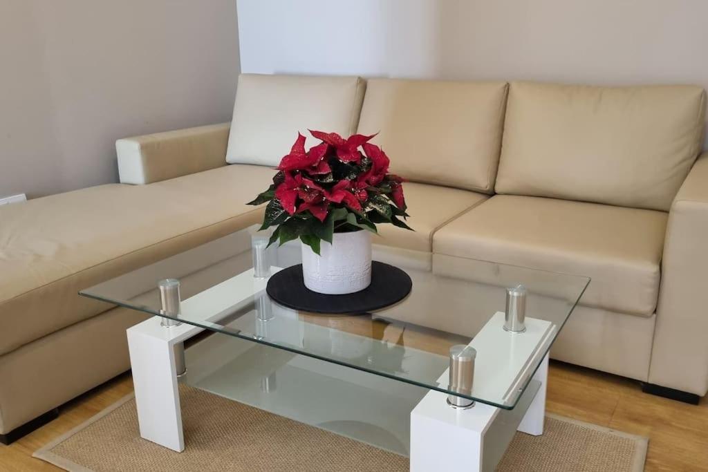 Bh & Semiramida Ski Apartment Borovets Buitenkant foto